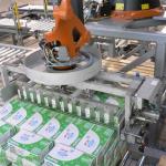 Automatic Stacking Palletizer Robot / Bag Palletizer Machine Single Column
