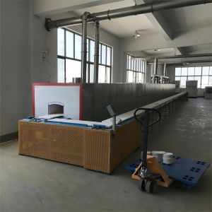 Continuous Sintering Gas Pusher Kiln Automatic Customized For Electronic