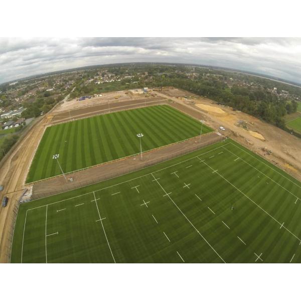 Buy SGS Approved Plastic 9000 Dtex Artificial Turf Grass Eco-Friendly at wholesale prices