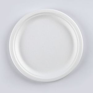 Round Disposable Plates Natural Sugarcane Bagasse Compostable Eco Friendly