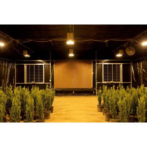 Agricultural Tunnel Fully Automated Light Deprivation Greenhouse Single span