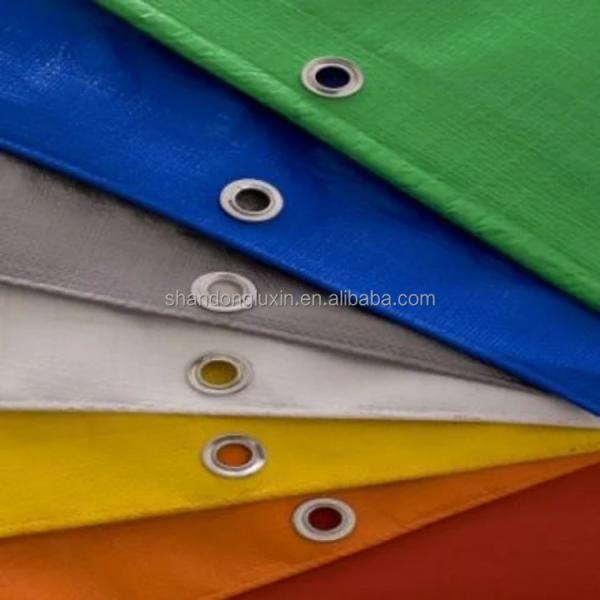 UV Resistant PE Coated Plastic Tarpaulin Sheet and Roll for Long-Lasting