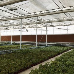 Inside Outside Shading System Hot Galvanized Steel Frame Large Polycarbonate