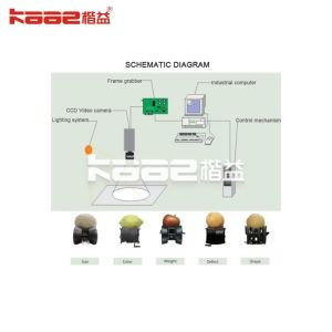 Automatic Industrial Mango Fruit Sorting Machine Grading Machine Shape Grading