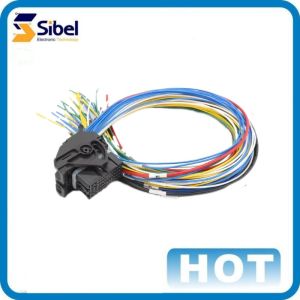 Customized Auto Electrical Wire Pigtail Wire Harness Loom Automotive Cable