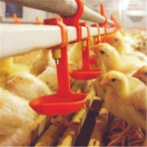 Pan Chicken Feeding Line 120L Bin Automatic Chicken Feeder