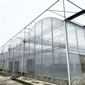 China Commercial Industrial Plastic Film Agricultural Multi-span Poly Tunnel Greenhouse on sale