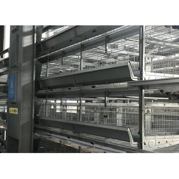 Buy Professional Automatic Poultry Feeder System Chicken Feeder Equipment at wholesale prices