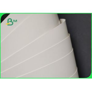 China 100% Virgin Wood Pulp 210g PE Coating FBB For Lunch Boxes Greaseproof on sale