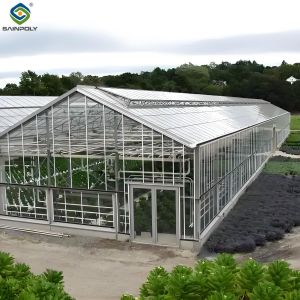 Adjustable Shading Net Venlo Greenhouse Multi Span Glass Green House