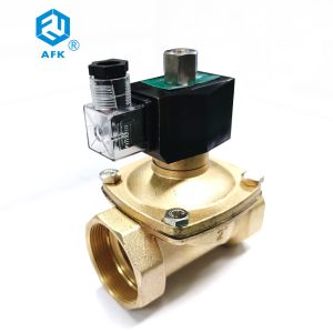 Pilot Diaphragm 24V 2in Brass Solenoid Valve NPT Thread