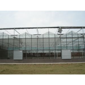 Backyard Multi Span Greenhouse Outdoor Rainproof Large Glass Greenhouse
