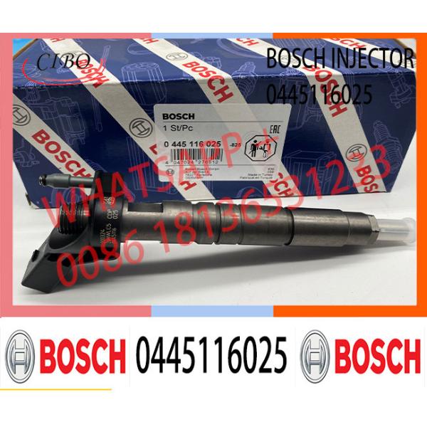 6420701187 0445116025 0445116026 0986435404 Manufacturer Supply Common Rail