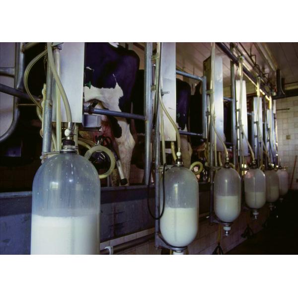 High Reliability Coal Burning Boiler , Automatic Steam Boiler For Milk Industry