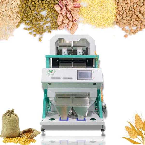 Wenyao Black Bean Color Sorting Machine Intelligent Beans Color Sorter Equipment