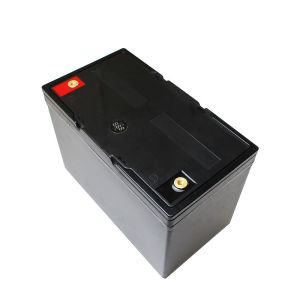 Coslight 12v 50ah Sealed Power Battery 12V Lifepo4 Marine Battery