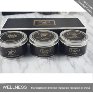 Exquisite Natural Scented Small Tin Candles