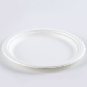 Biodegradable Food Container Bagasse 6.75 inch Plates