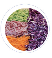 Capacity 304 Stainless Steel Vegetable Processing Equipment with Wide Through