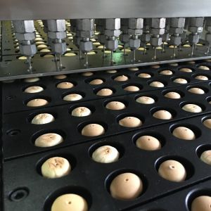 Snack Auxiliary Machine Hello Panda Chocolate Injection Machine 700piece/Min