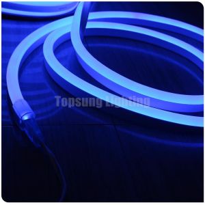 Quality 120v Dome LED Strip Lights Neon String Lights Ultra Thin SMD2835 for sale