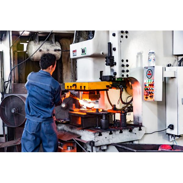 High Precision Metal Hot Die Forging Parts Stainless Steel Machinery Parts