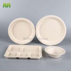 Envases Bagazo Pulp paper disposable bowls and plates
