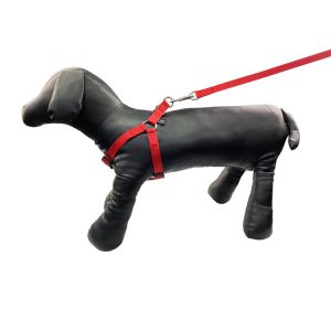 8kg Multicolor Dog Harness