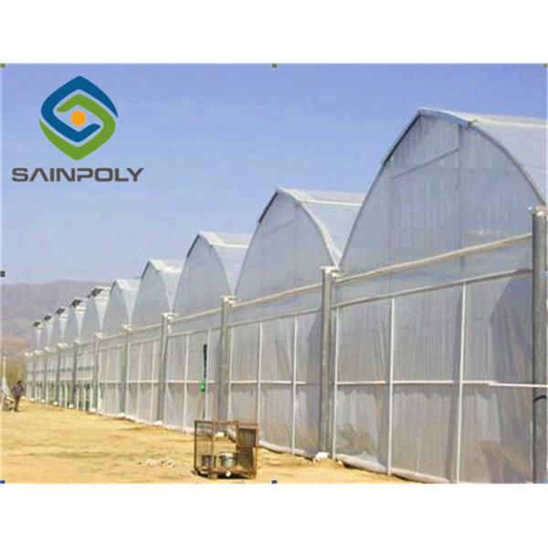 Buy Hot Galvanized Steel 8m Polyethylene Film Greenhouse at wholesale prices