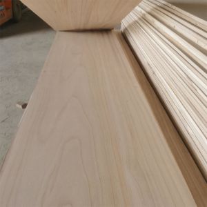 E0 E1 Standard Hardwood Furniture Board Paulownia Wood Surfboard