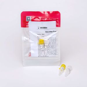 5× One Step Probe RT QPCR Master Mix Colourless Appearance