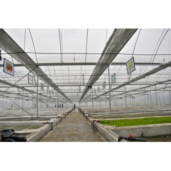 Greenhouse Cover Transparent Plastic PE Film