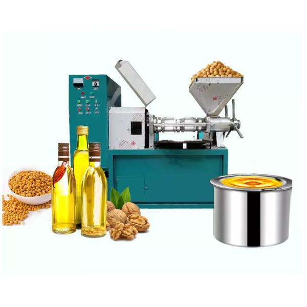 Buy 2.2 Kw Cooking Automatic Oil Press Machine ODM at wholesale prices