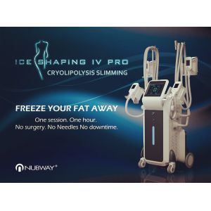 China 2019 New Arrivals! Ice Shaping Cool body sculpting Cryolipolysis fat freezing Machine with 4 handles on sale