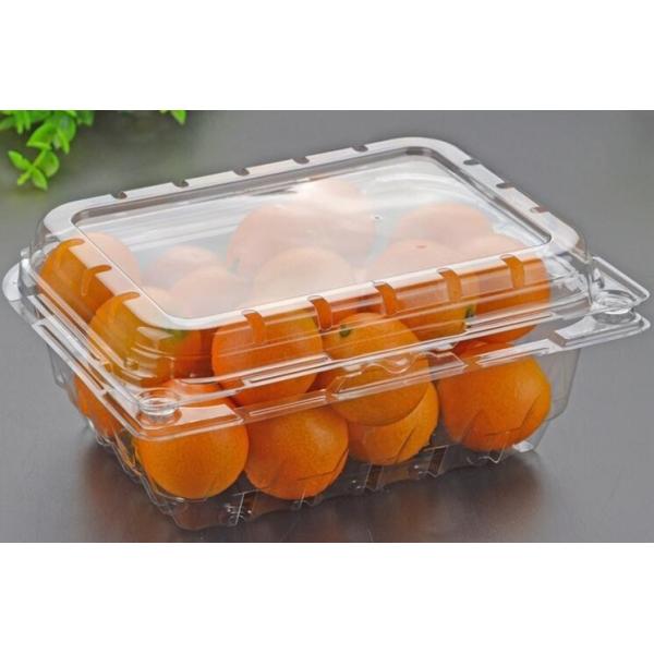 Hot Selling Plastic PET Sandwich Containers Cake Bread Container Plastic