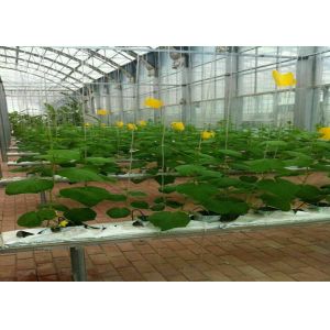 Rock Wool Board 650℃ Working Temperature 40Kpa Compressive Strength