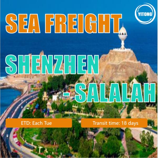 Sea Freight Customer Service From Shenzhen To Salalah Oman