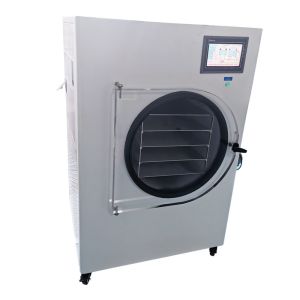 Air Compressor High Efficiency Bacteria Strain Freeze Dryer Industrial