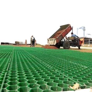 Heavy-Duty HDPE Grass Paver Grid for Permeable Ground Reinforcement, Driveways,