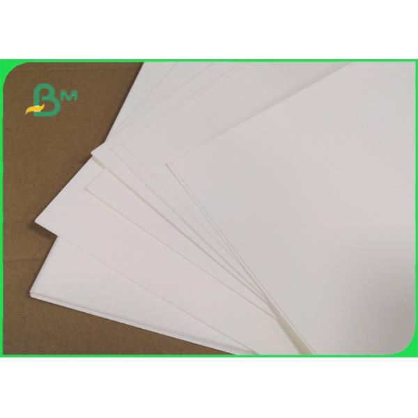 Biodegradable 190gsm 210gsm Cupstock Base Paper For Food bowl 720MM 860MM Biodegradable 190gsm 210gsm Cupstock Base Paper For Food bowl 720MM 860MM