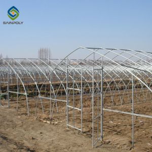 0.5KN/M2 Clear Polythene 4m Single Tunnel Greenhouse