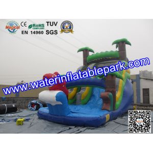 Bounce House Charming Inflatable Slide , Kids Inflatable Water Slides Pool
