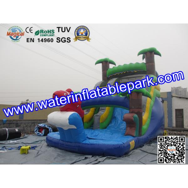 Bounce House Charming Inflatable Slide , Kids Inflatable Water Slides Pool