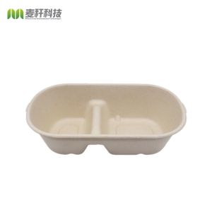 Disposable Biodegradable Sugarcane Bagasse Takeaway Lunch Food Tray with Lid