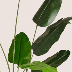 Height 110cm Artificial Banana Tree Environmental Friendly