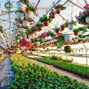 OEM Agriculture Green House Commercial Glass Greenhouse With Humidity Regulation