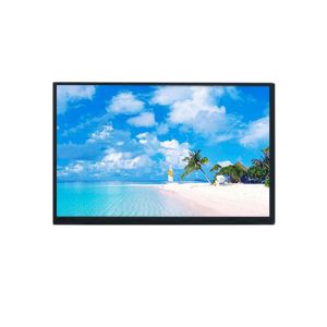 Industrial And Medical Applications 10.1 Inch BOE LCD Panel EV101WXM-N10