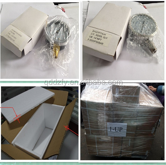 All Stainless Steel Indicator Pressure Gauge With Flange CE Approved