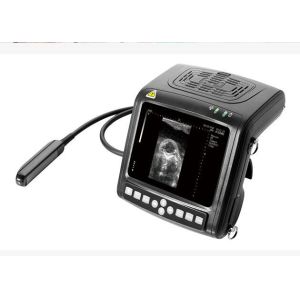 Digital Veterinary Ultrasound Scanner