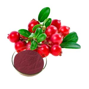 Mygou Foods Cranberry Fruit Juice Extract Powder OEM Packing